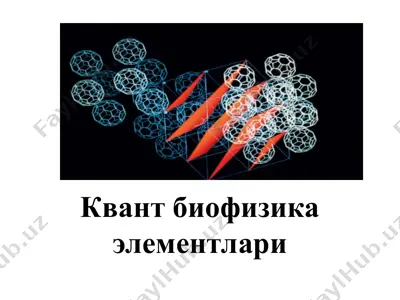 kvant biofizika elementlari — PPT