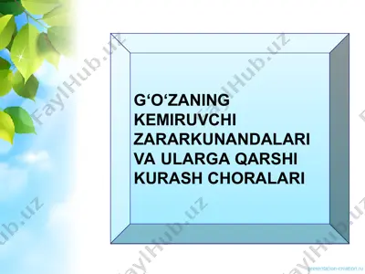 g‘o‘zaning kemiruvchi zararkunandalari va ularga qarshi kurash choralari — PPT