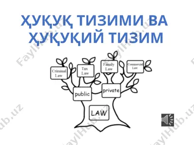ҳуқуқ тизими ва ҳуқуқий тизим — PPTX