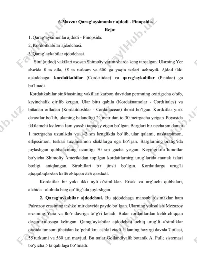 qarag‘aysimonlar ajdodi - pinopsida — DOCX