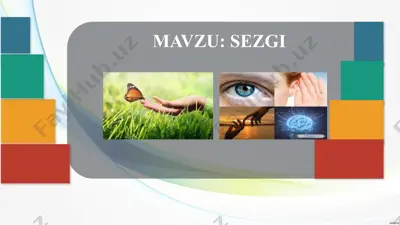 sezgi jarayonlari — PPTX