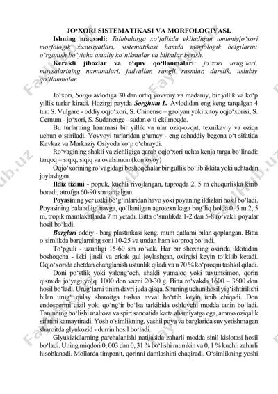 jo‘xori sistematikasi va morfologiyasi — DOCX