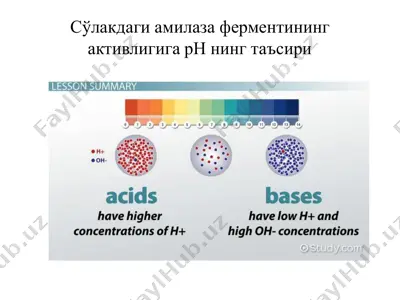 сўлакдаги амилаза ферментининг активлигига рн нинг таъсири — PDF