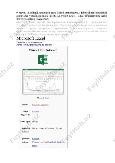 microsoft excel — DOCX