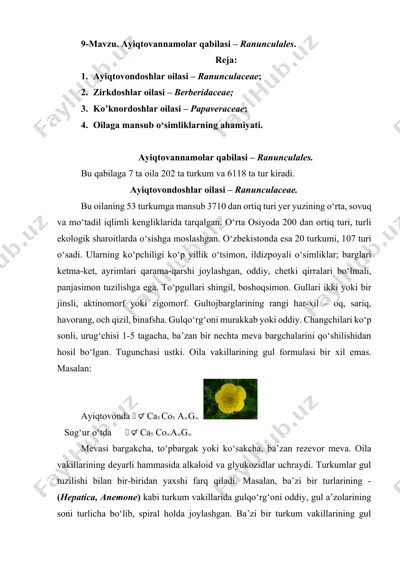 ayiqtovondoshlar oilasi – ranunculaceae — DOCX