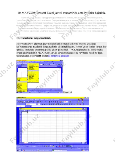 microsoft excel jadval muxarririda amaliy ishlar bajarish — DOCX