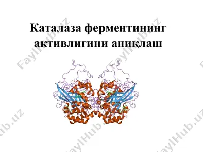 katolaza fermenti — PDF