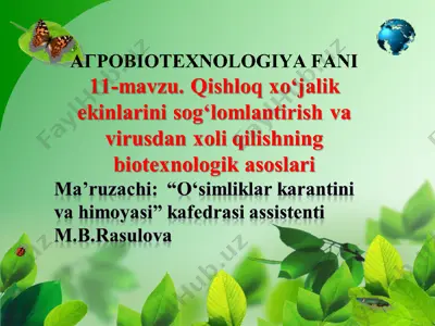 qishloq xo'jalik ekinlarini sog'lomlantirish va virusdan xoli qilishning biotexnologik asoslari — PPT