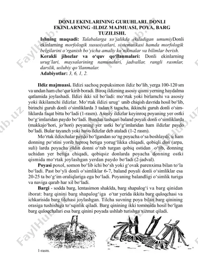 donli ekinlarning guruhlari. donli ekinlarning -ildiz majmuasi, poya, barg tuzilishi. — DOCX