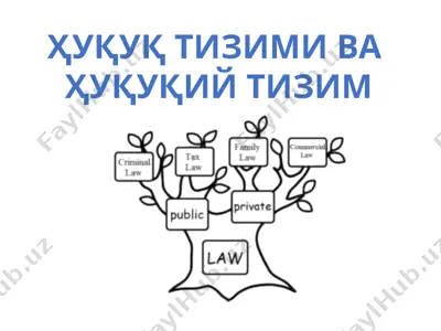 ҳуқуқ тизими ва ҳуқуқий тизим — PPTX