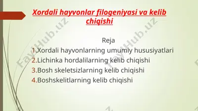 xordali hayvonlar filogeniyasi va kelib chiqishi — PPT