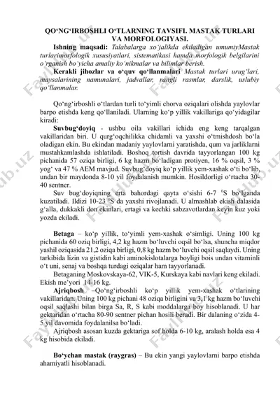 qo‘ng‘irboshli o‘tlarning tavsifi. mastak turlari va morfologiyasi. — DOCX