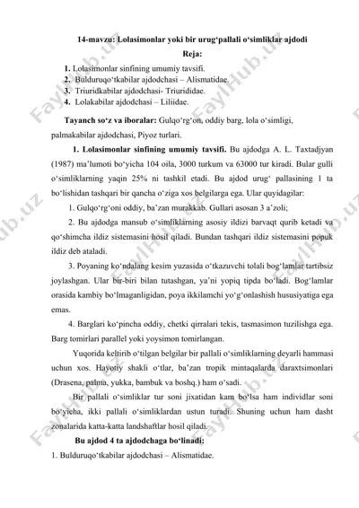 lolasimonlar yoki bir urug‘pallali o‘simliklar ajdodi — DOCX