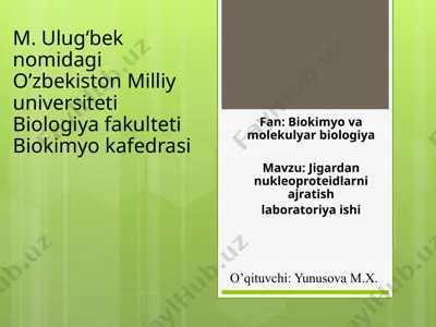 jigardan nukleoproteidlarni ajratish laboratoriya ishi — PPTX