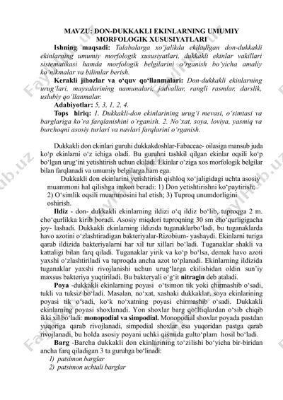 don-dukkakli ekinlarning umumiy morfologik xususiyatlari — DOCX