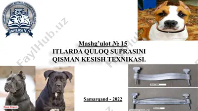 itlarda quloq suprasini qisman kesish texnikasi — PPTX