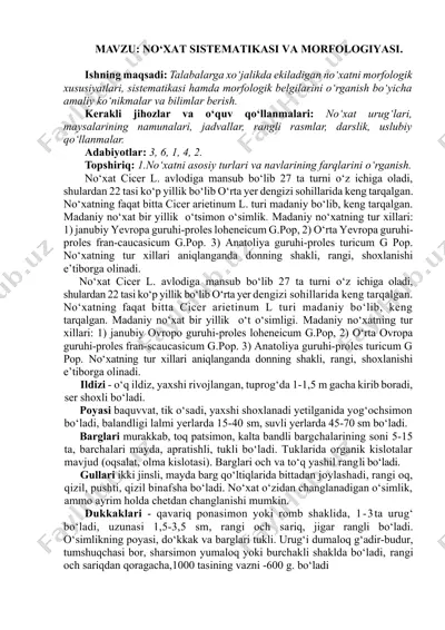 no‘xat sistematikasi va morfoloyiyasi — DOCX