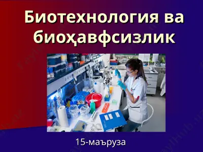 биотехнология ва биоҳавфсизлик — PPT