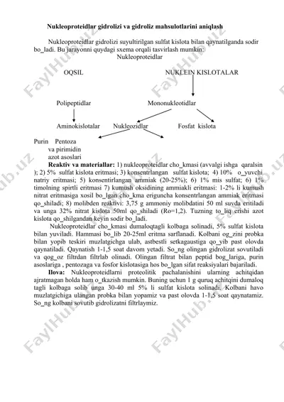 nukleoproteidlar gidrolizi va gidroliz mahsulotlarini aniqlash — DOCX