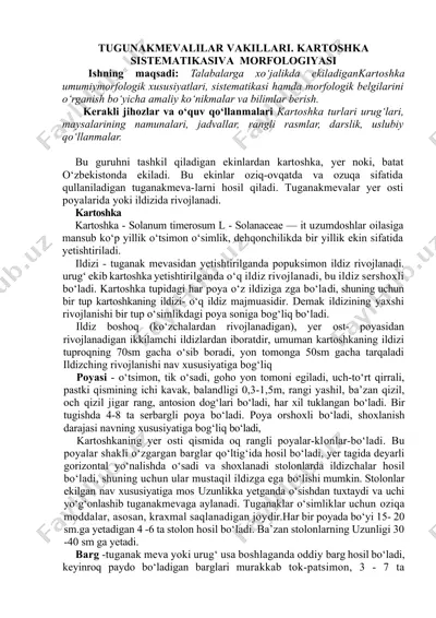 tuganakmevalilar vakillari. kartoshka sistematikasiva morfolojiyasi — DOCX