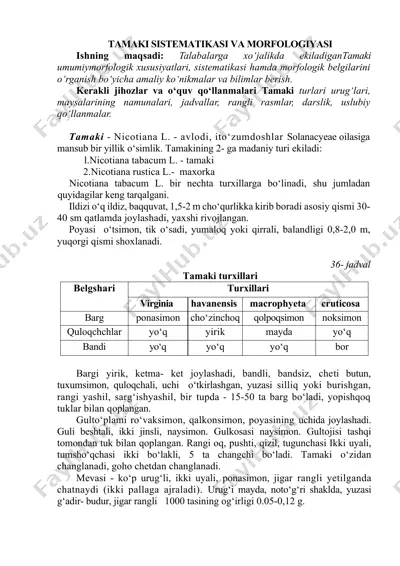 tamaki sistematiqasi va morfolojiyasi — DOCX