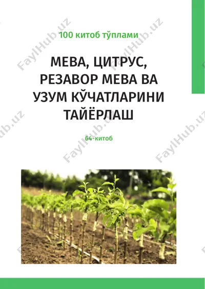 meva, citrus, rezavor meva va uzum kochatlarini tayyorlash — PDF
