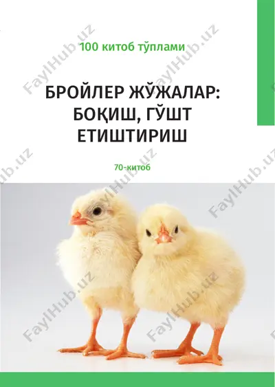 бройлер жўжалар: боқиш, гўшт етиштириш — PDF