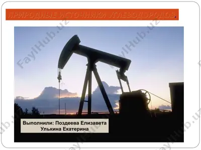 природные источники углеводородов — PPT