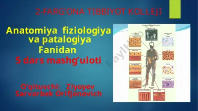 anatomiya, fiziologiya va patalogiya mashg'ulotlari — PPTX