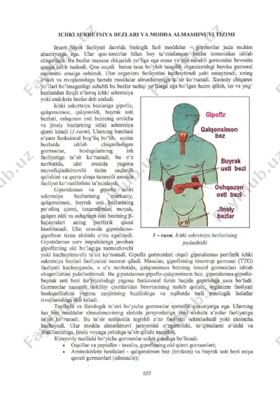 xavfsizlik tizimi — PDF