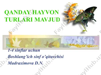 qanday hayvon turlari mavjud? — PPT