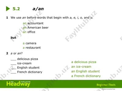 articles in english grammar — PPT