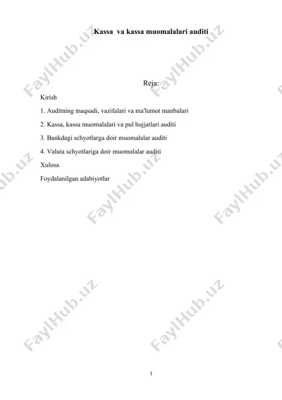 audit kurs ish — DOCX