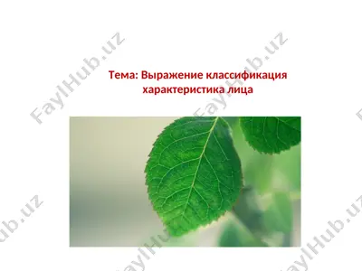 выражение классификация характеристика лица — PPT
