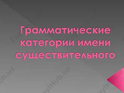 грамматические категории имени существительного — PPT