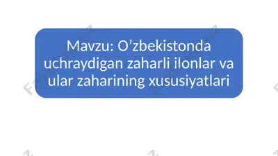 ilonlar (ophidia yoki serpentes) — PPTX