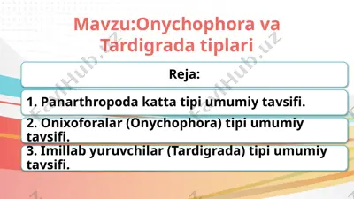 onychophora va tardigrada tiplari — PPTX