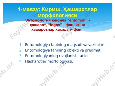entomologiya fani – kirish va hashаrotlar morfologiyasi — PPT
