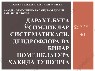 dendrologiya. daraxt-buta o‘simliklar sistematikasi. dendroflora va binar nomenklatura — PPTX