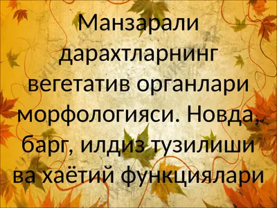 манзарали дарахтларнинг вегетатив органлари морфологияси — PPTX