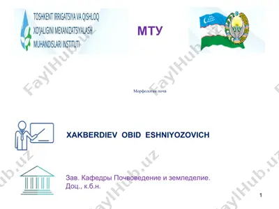 морфология почв — PPT