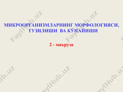 mikroorganizmlarning morfologiyasi, tuzilishi va ko‘payishi — PPT