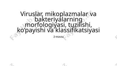 viruslar, mikoplazmalar va bakteriyalarning morfologiyasi, tuzilishi, ko‘payishi va klassifikatsiyasi — PPTX