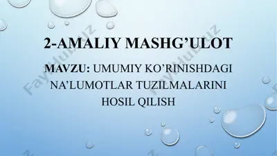 2-amaliy mashg’ulot: umumiy ko’rinishdagi ma’lumotlar tuzilmalarini hosil qilish — PPTX