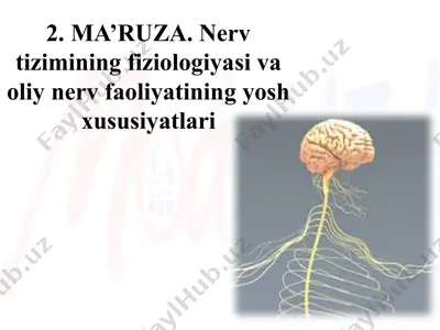 nerv tizimining fiziologiyasi va oliy nerv faoliyatining yosh xususiyatlari — PPTX