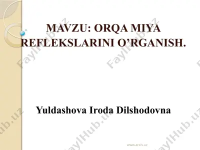 orqa miya reflekslarini o‘rganish — PPTX