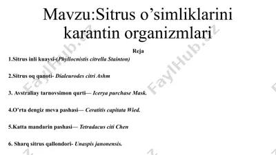 sitrus o’simliklarini karantin organizmlari — PPTX
