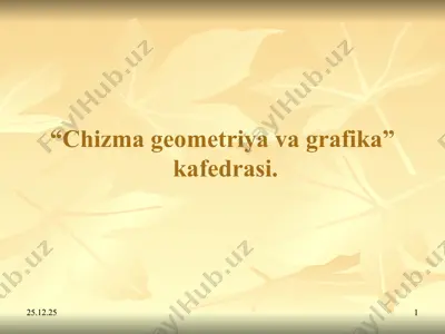 to‘g’ri chiziq — PPT