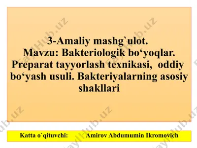 bakteriologik bo‘yoqlar: preparat tayyorlash texnikasi va oddiy bo‘yash usuli (3-amaliy mashg‘ulot) — PPTX