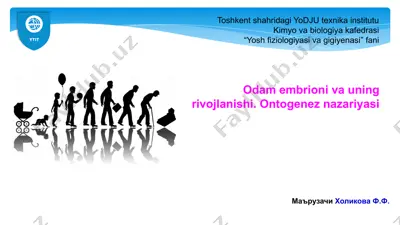 odam embrioni va uning rivojlanishi. ontogenez nazariyasi — PPTX